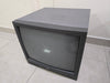 InterM 21 Inch Monitor