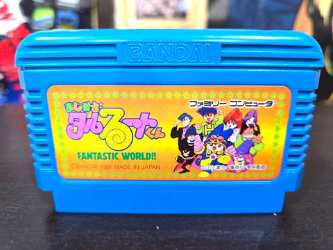 FANTASTIC WORLD