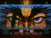 Sony KV-HA21M80J (21 Inch) RGB Modded