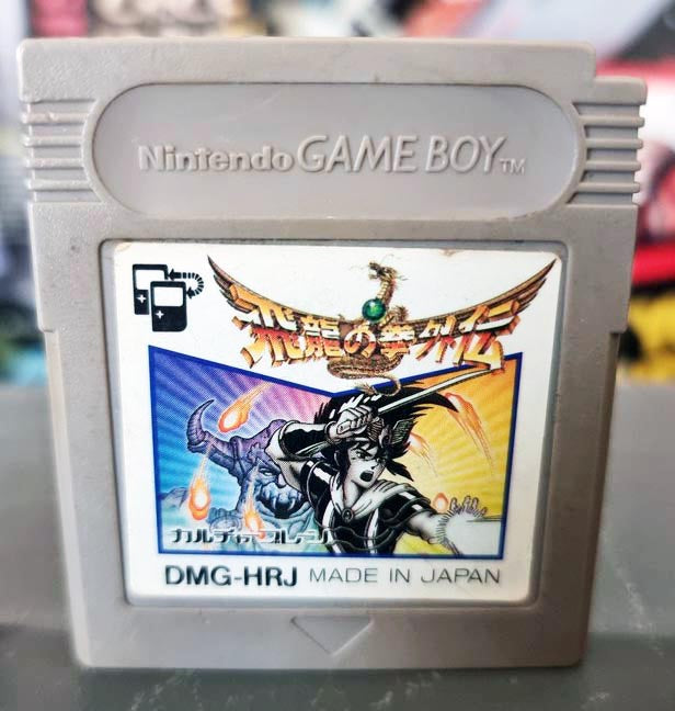 HIRYU NO KEN GAIDEN